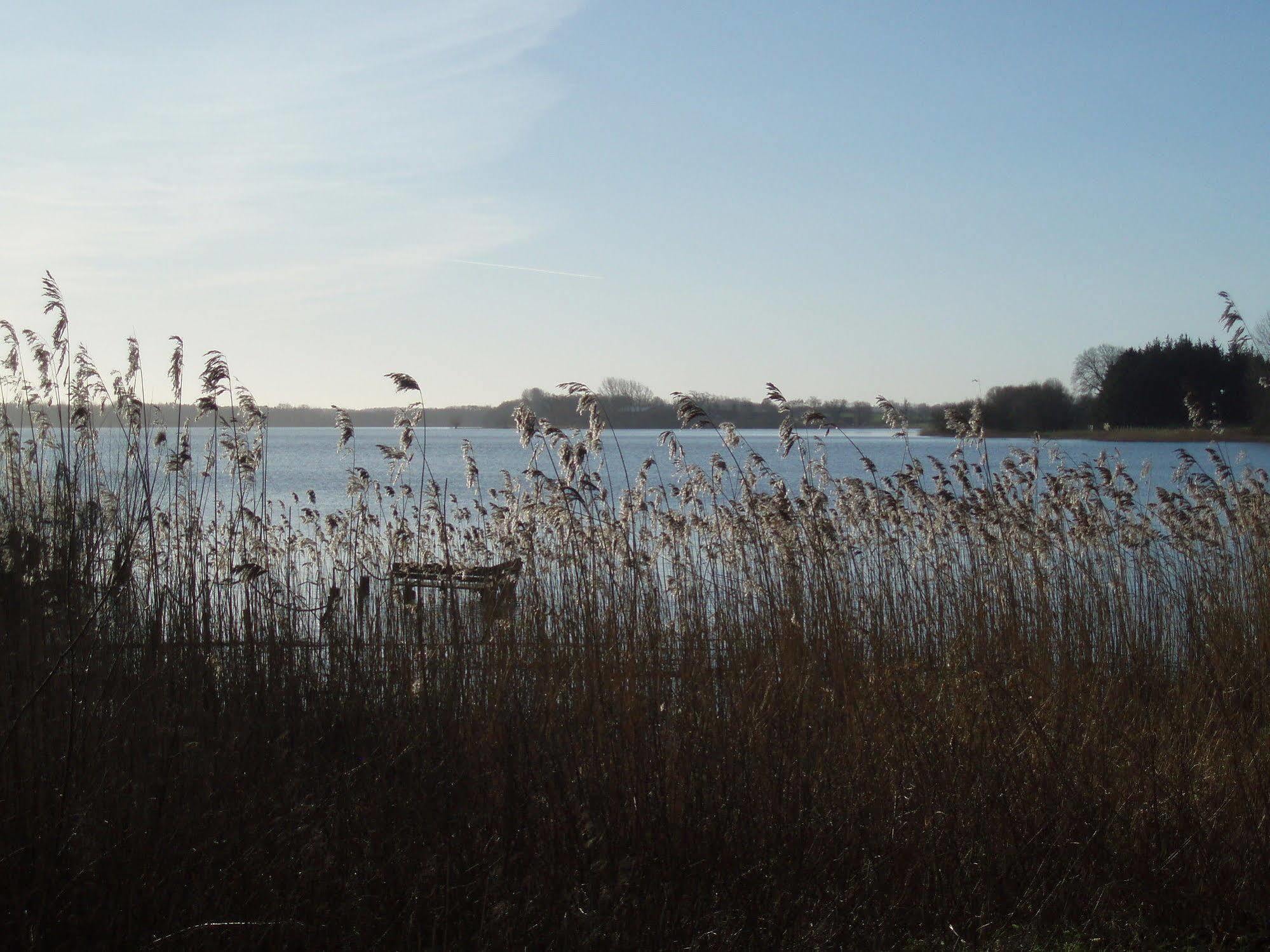 Fischerwiege Am Passader See Dış mekan fotoğraf
